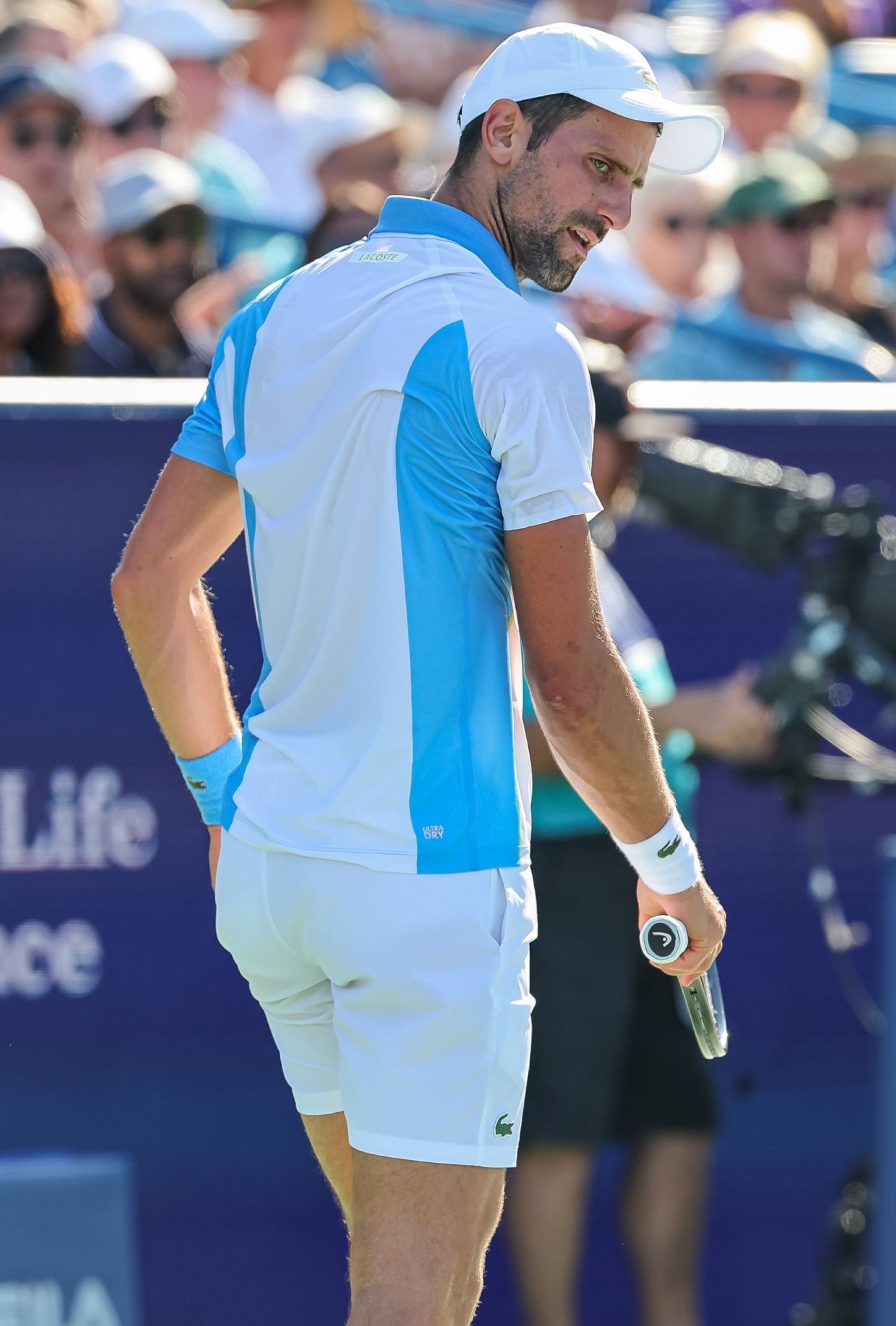 开云官方网站-德约科维奇突然厉害了